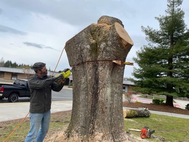 Mike Bryson begins work on turning the stump of an oak tree into a work of art